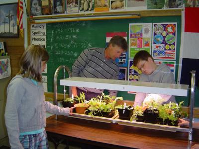 Learning Gardens
