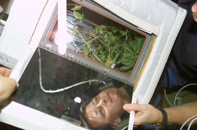 Peggy Whitson, NASA