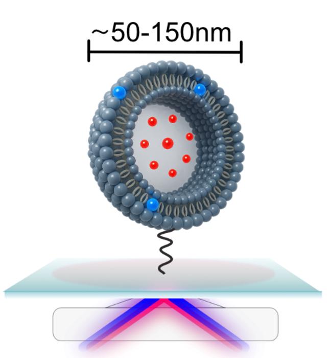 Artificial membrane