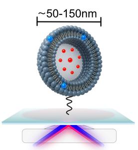 Artificial membrane