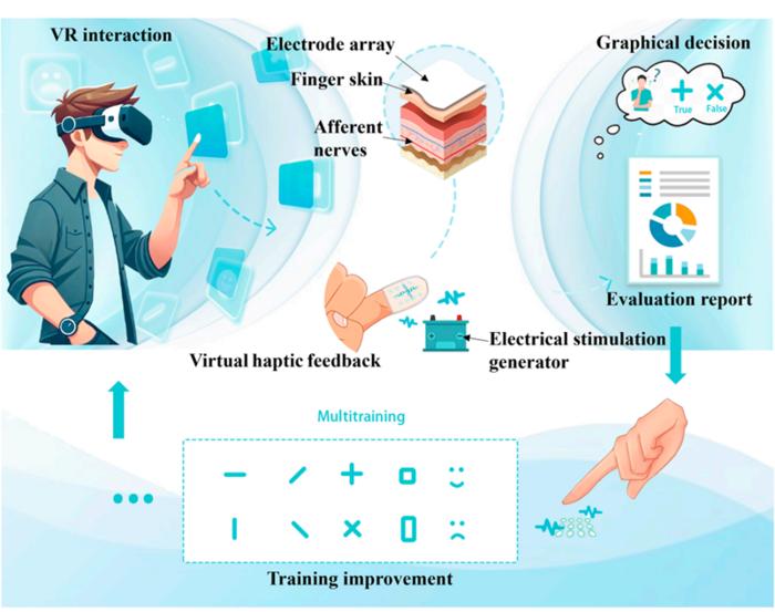 Overview of the tactile perception evaluation interaction system (TPEIS) and its components.