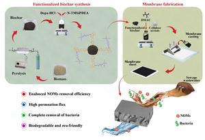 Amine-functionalized biochar/cellulose acetate hybrid membranes for sustainable municipal wastewater treatment