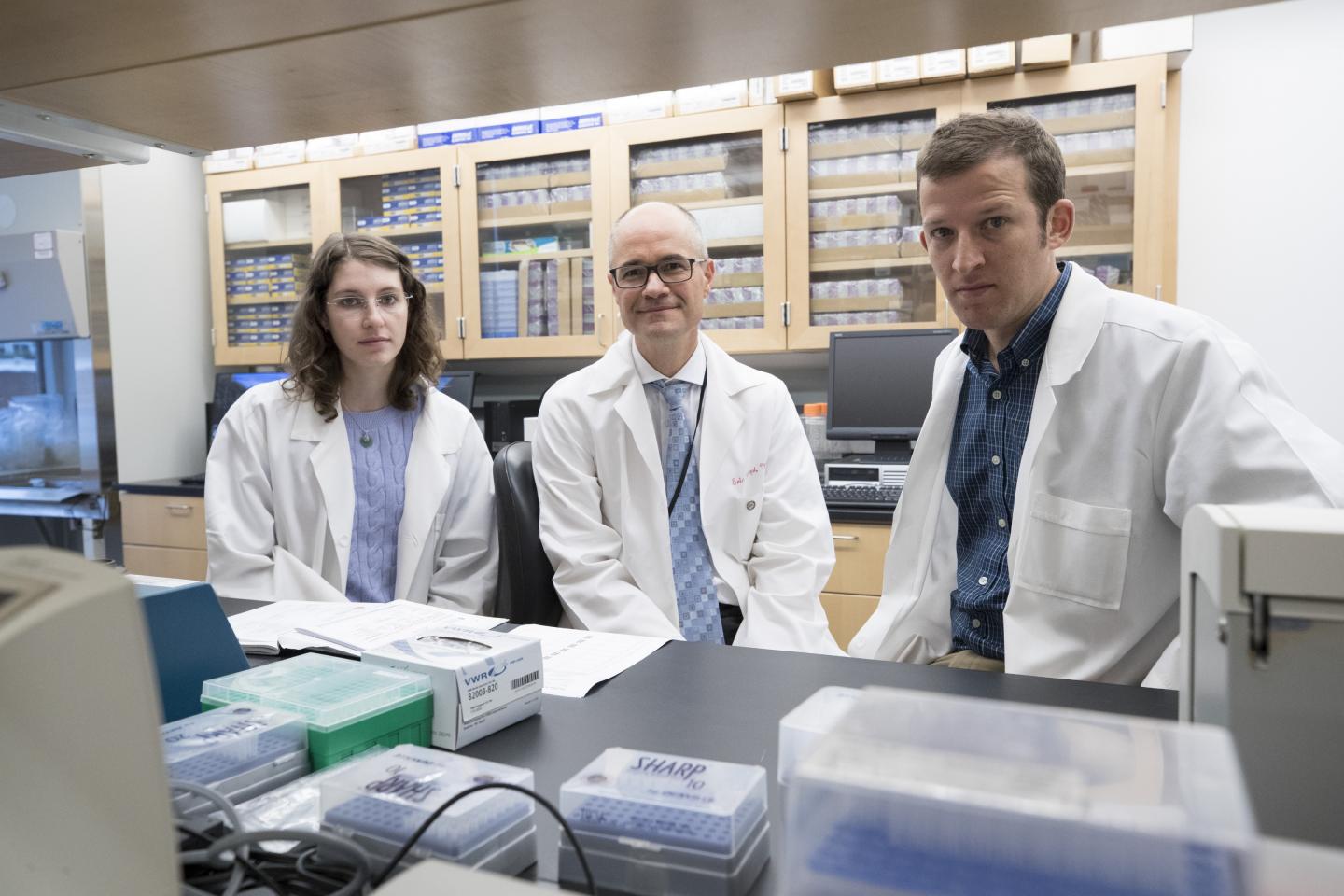 Researchers