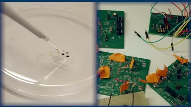 Sweat Sensor