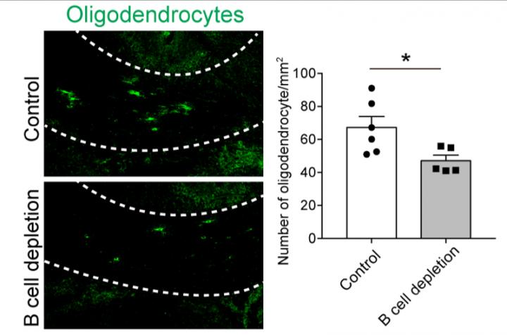 Fig.3