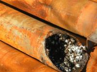 Zebra Mussels Clogging a Pipe