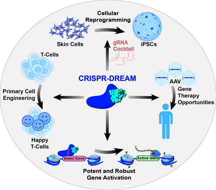 research schematic