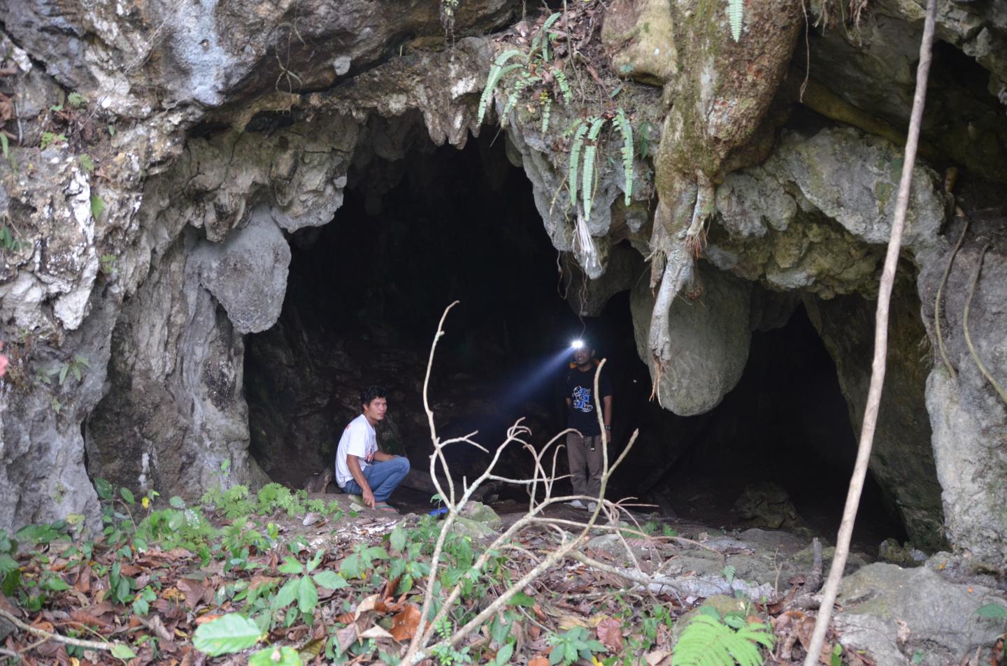 Sumatran Fieldtrip
