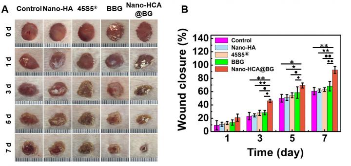 Nano-scale Borate Bioactive Glass: Next Generation Material for Skin-healing