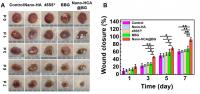 Nano-scale Borate Bioactive Glass: Next Generation Material for Skin-healing