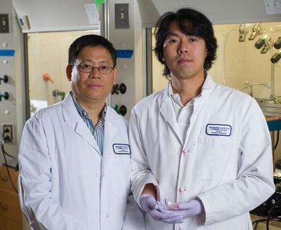 Younan Xia and Dong Choon Hyun, Georgia Institute of Technology