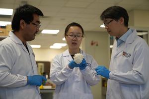 NUS researchers develop novel material for water quality  monitoring device (photo 1)