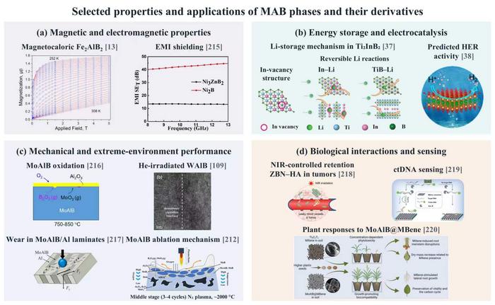 Selected properties and applications of MAB phases and their derivatives
