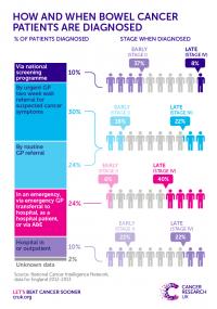Route to Diagnosis and Stage for Bowel Cancer