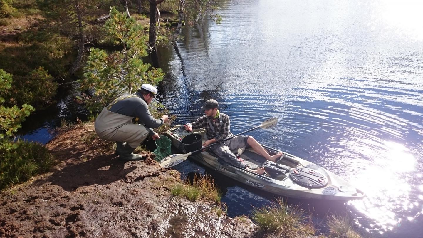 Loosalu Rabajärv