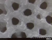 Nanopore Battery End