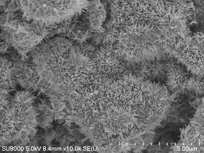 Microscopic Image 