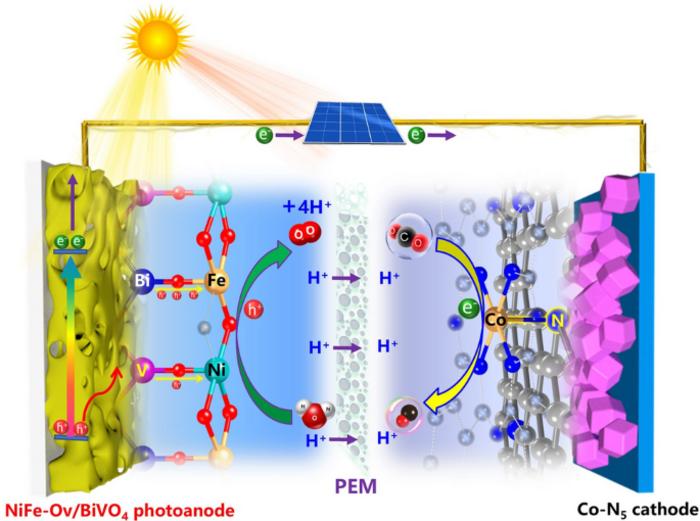Highly Active Oxygen Evolution Integrating with Highly Selective CO2‑to‑CO Reduction