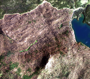 Remote sensing of fire refugia