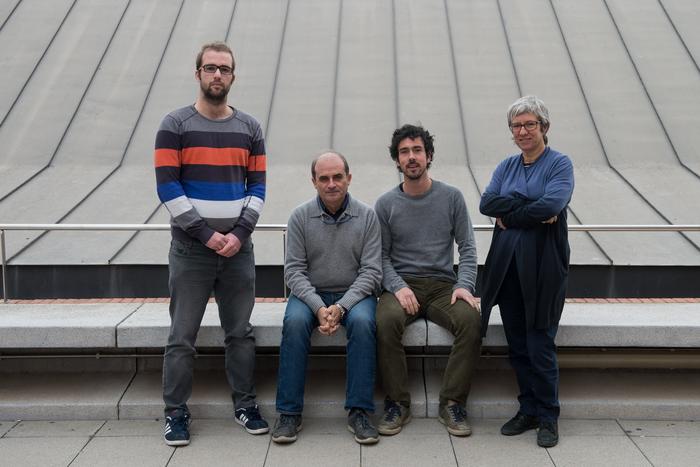 La hibridación entre especies ha sido decisiva para la supervivencia del ave marina más amenazada de Europa