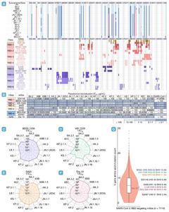 Epitope mapping and neutralization activity of RBD-targeting antibodies against emerging SARS-CoV-2 variants/subvariants