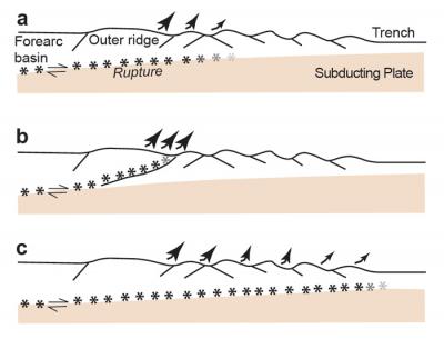 Rupture Models for 2004 Sumatra Earthquake