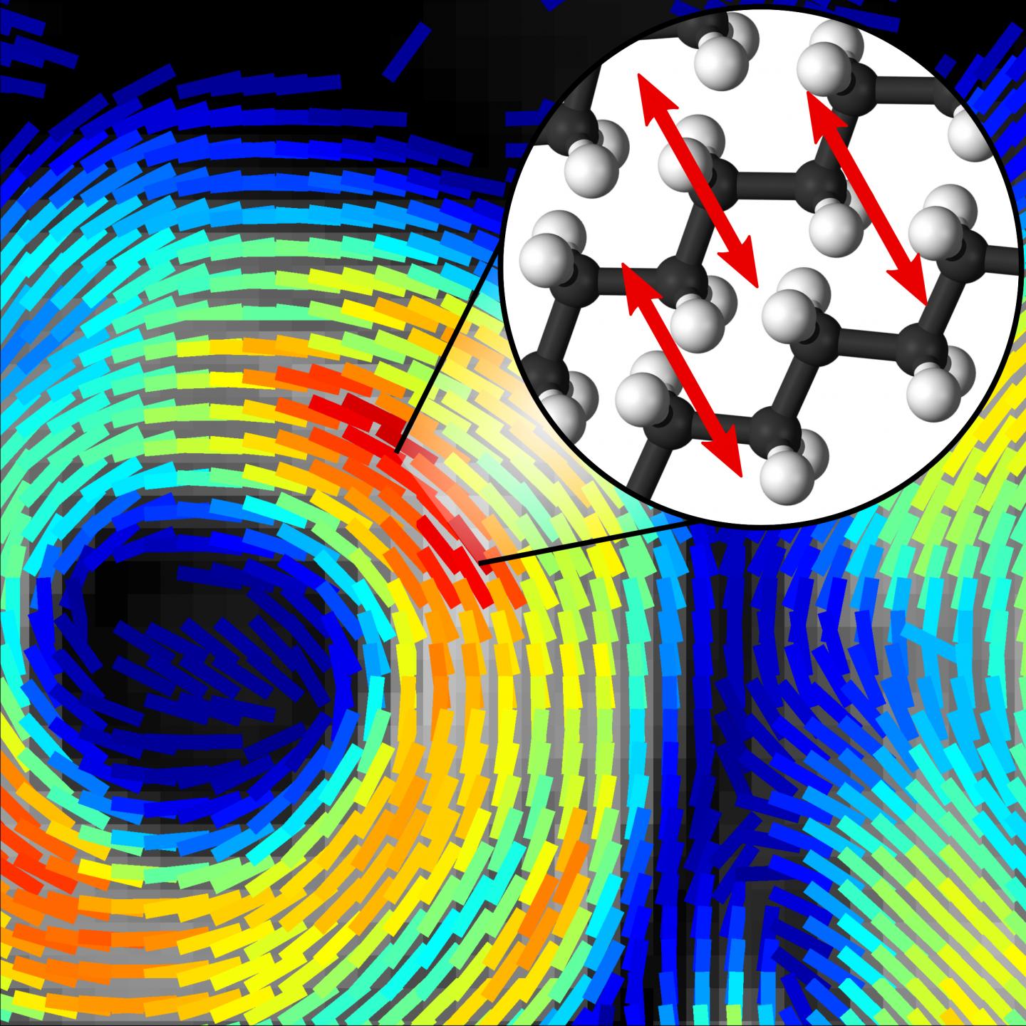 High Speed Polarized Coherent Raman Imaging