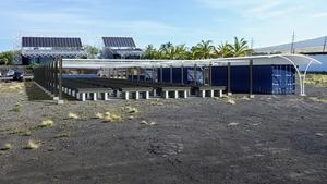 ASU Coral Nursery