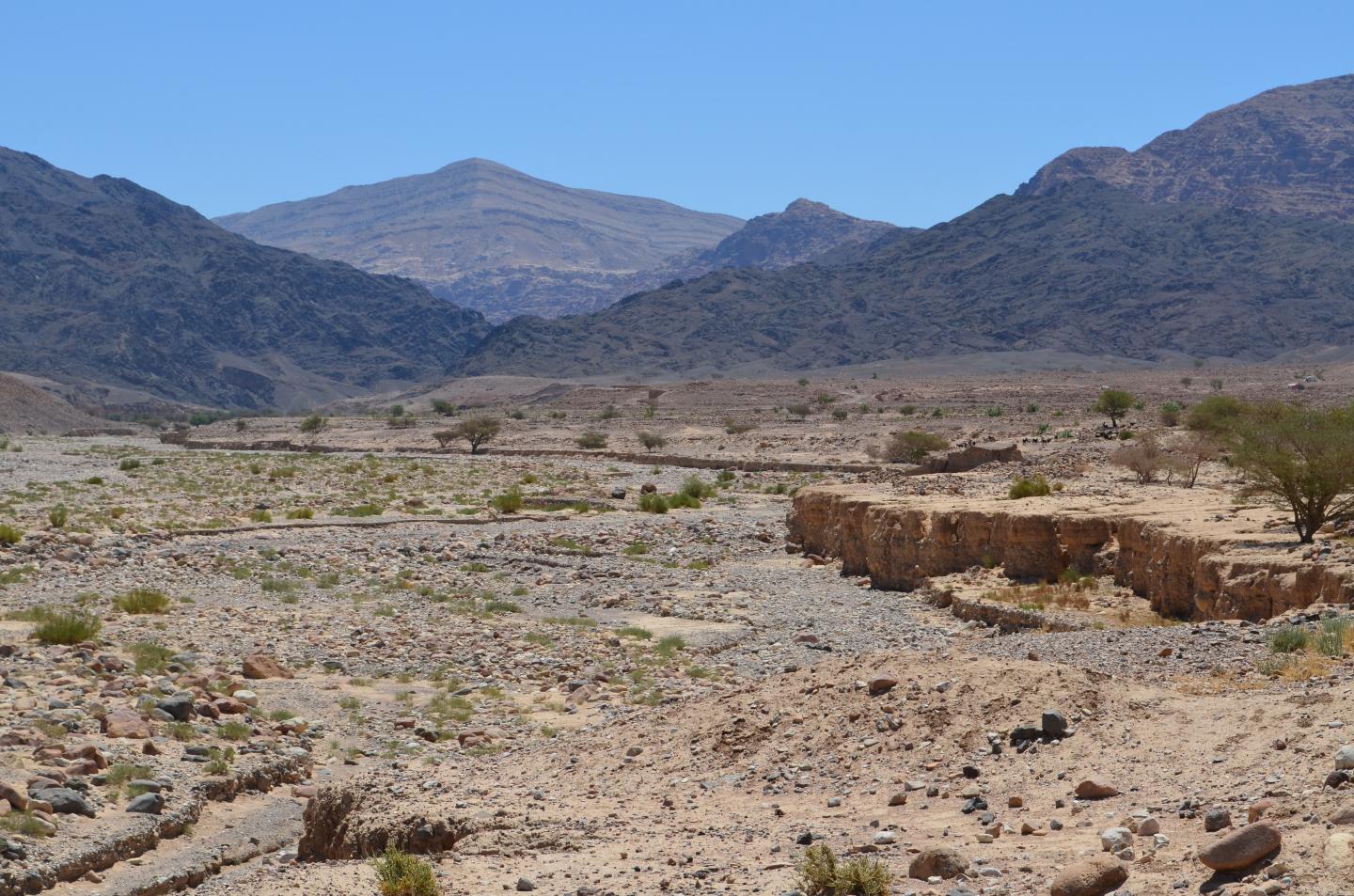 Wadi Faynan