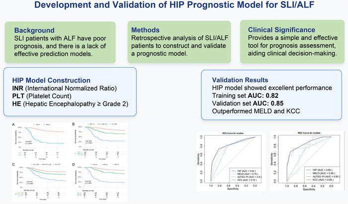 A Novel Simplified Prognostic Model for 90-day Transplant-free Survival in Patients with Severe Acute Liver Injury/Acute Liver Failure