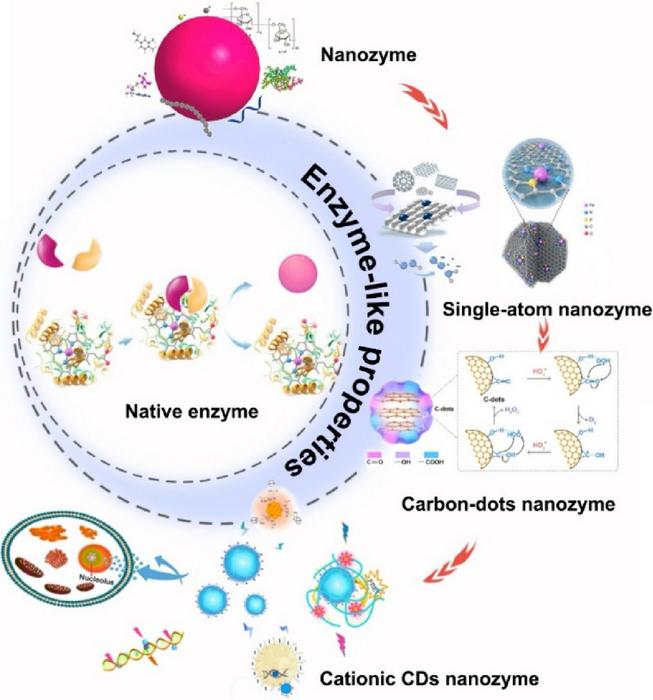 Development of nanomaterials with enzyme-like properties