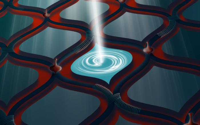 Loop formed by the hybrid quantum system.