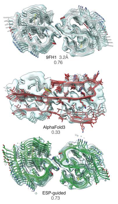 Experiment-guided AlphaFold produces models in agreement with measurements, even when AlphaFold3 completely mispredicts key structural features