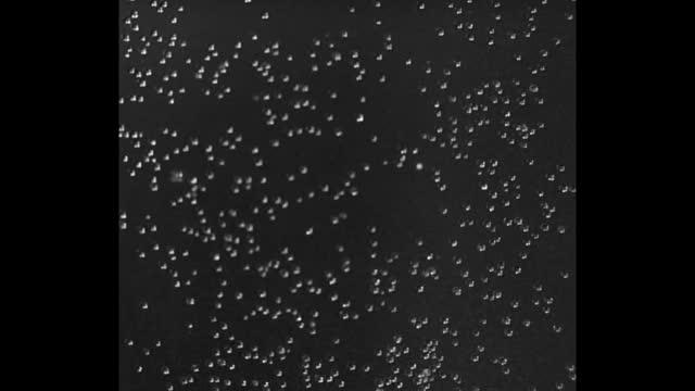 A Surprising Experiment Opens the Path to New Particle Manipulation Methods (2 of 2)