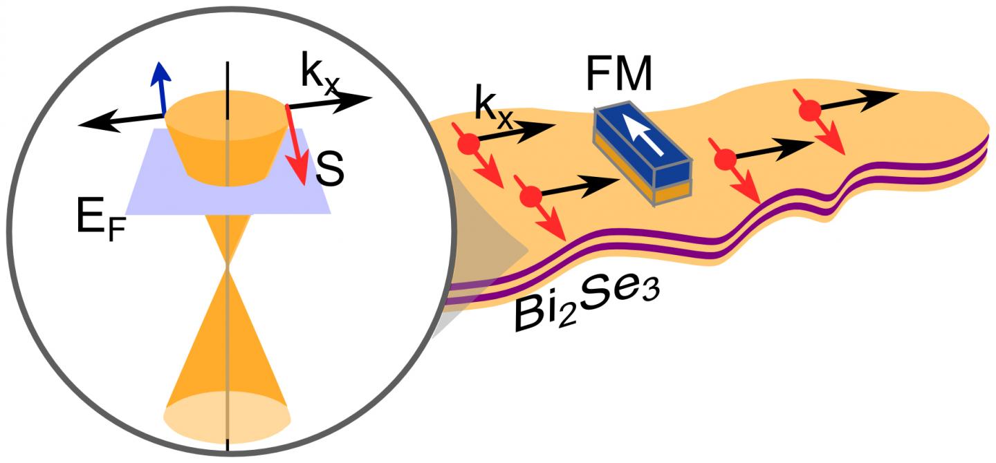 Spin Current on a Topological Insulator Surface