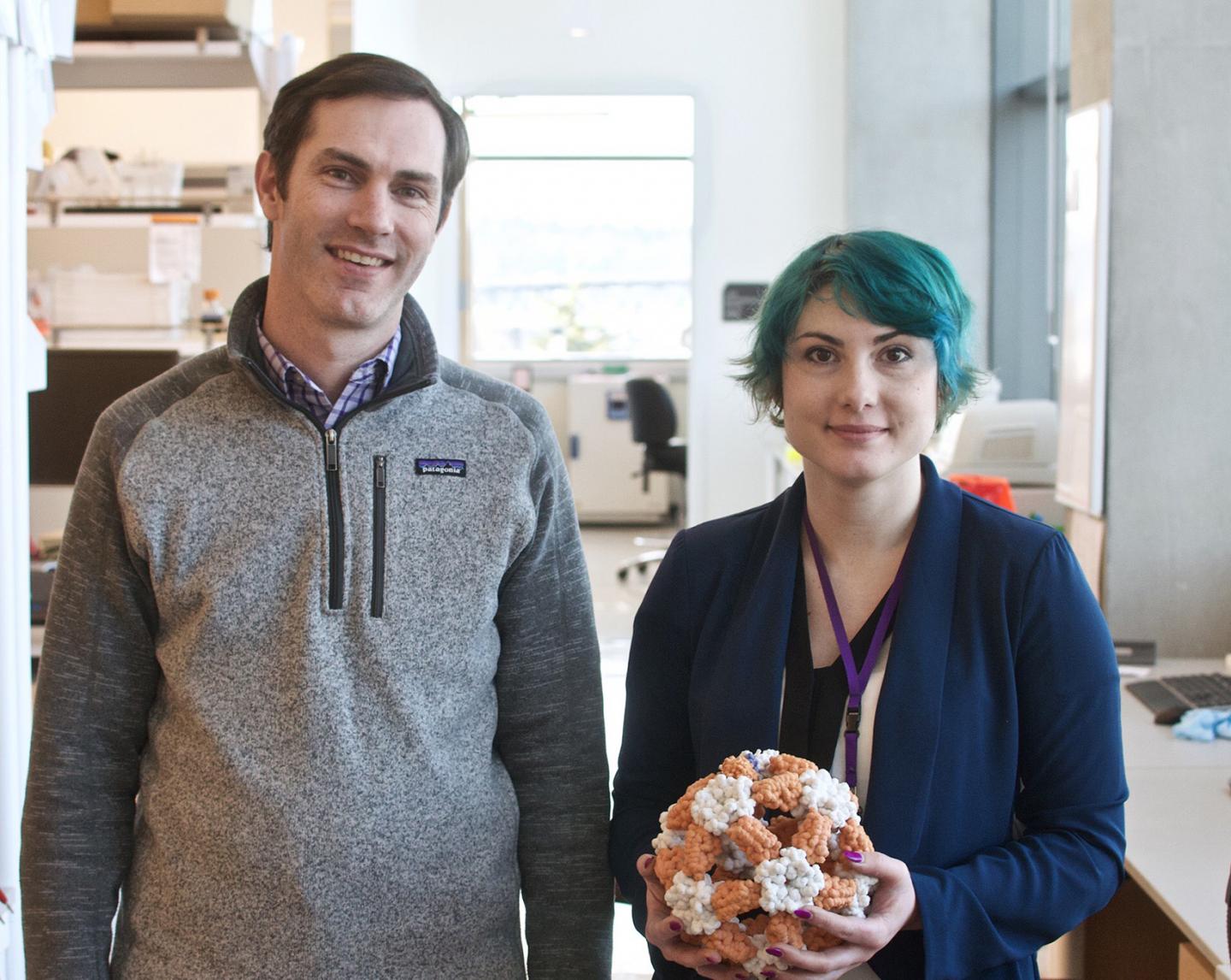 Neil P. King and Brooke Fiala, University of Washington Health Sciences/UW Medicine