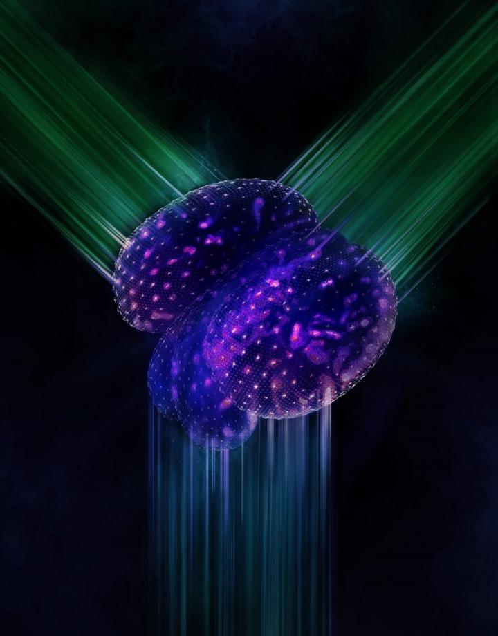 3D Microscope Scanning a Heart