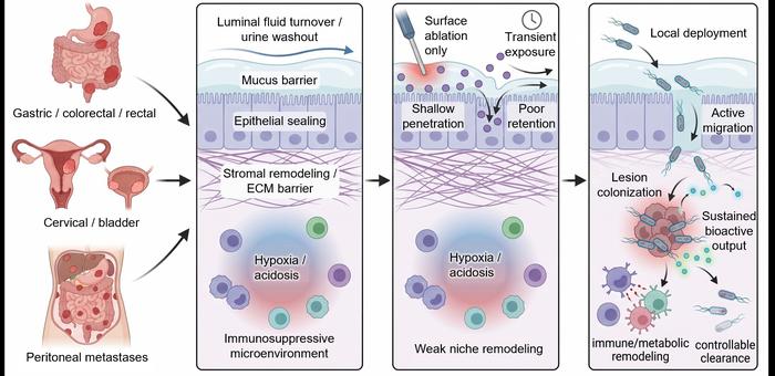 Engineered Microbe-Based Micro/Nanorobots for Luminal Cancer Therapy