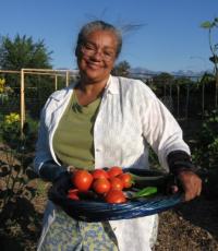 Garden Harvest