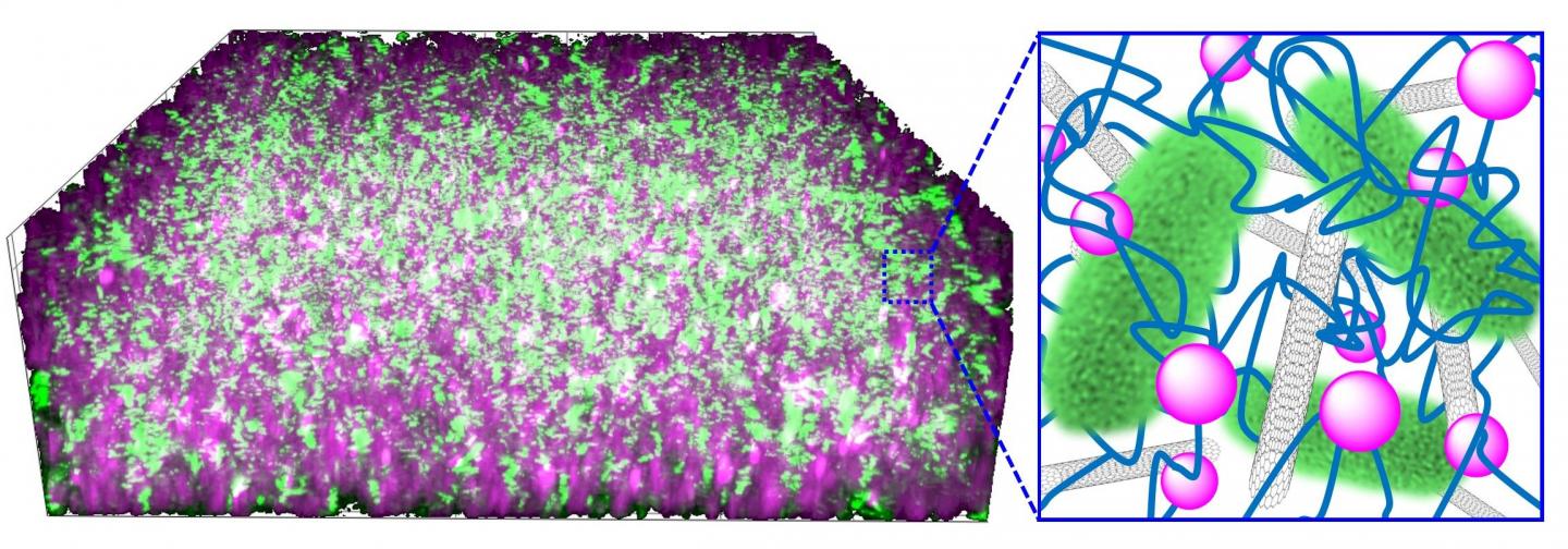 Microbial Cyborgs: Bacteria Supplying Power