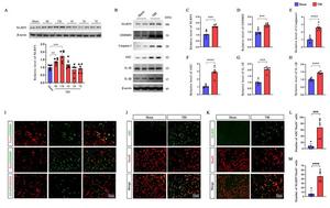 TBI induces NLRP3 inflammasome activation and neuronal pyroptosis.