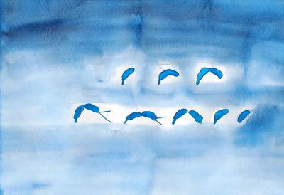 Bacteria Image