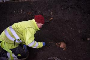 Histological and metagenomic analysis of microbial communities in archaeological human bones