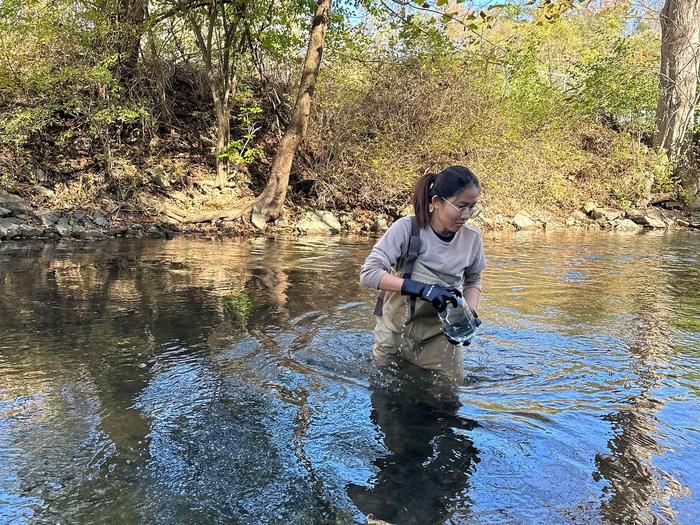 Field Samples