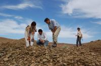 The Fezouata fossil site in Morocco, where Cantabrigiaster fezouataensis was uncovered.