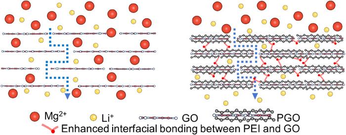 Schematic of (a) GOM and (b) PGOM and their ionic sieving properties.