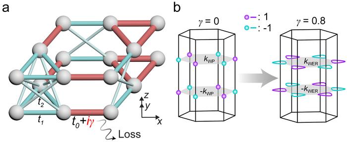 Lossy acoustic metamaterials for higher-order Weyl exceptional ring