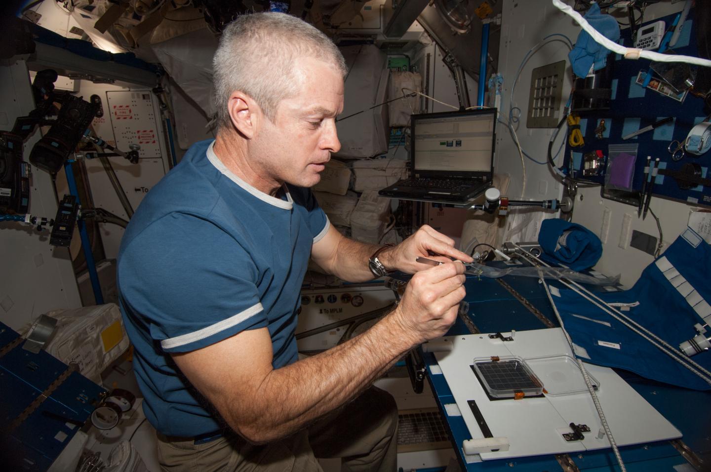 Steve Swanson, NASA with Petri Plants