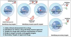 Supplementary figure 1