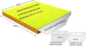 Conservation agriculture enhances soil and water conservation and crop yield in the Ethiopian highlands